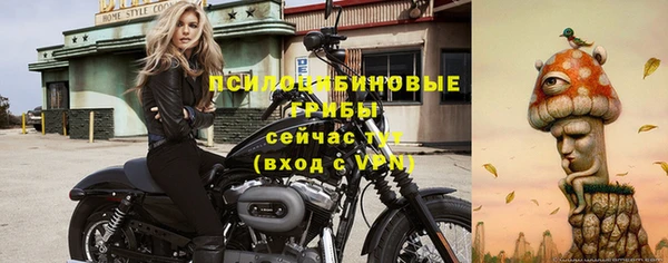 дживик Балахна