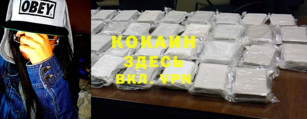 дживик Балахна