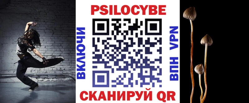 хочу наркоту  Инза  Галлюциногенные грибы Cubensis 